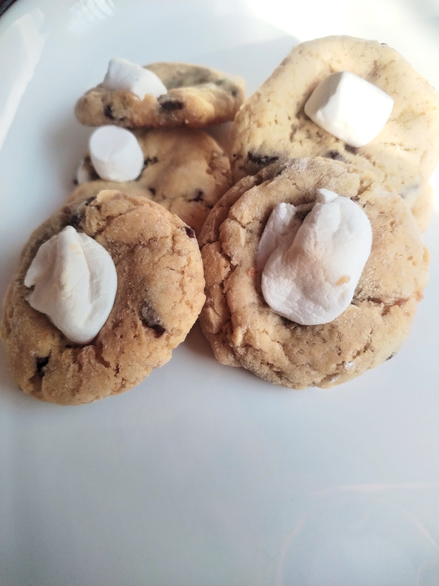 Cookie Bites: S'mores Cookies